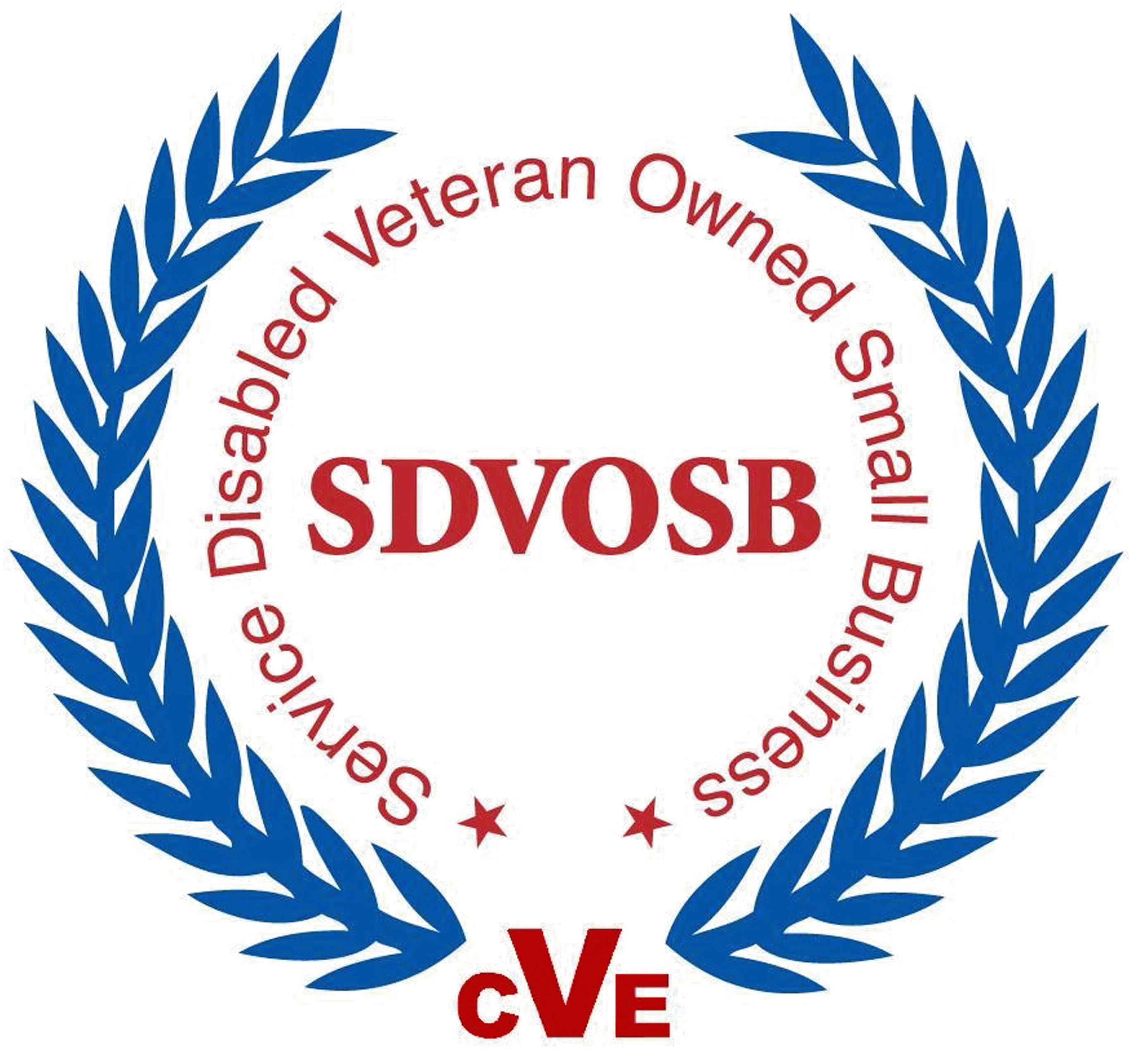 Disabled Veteran Owned